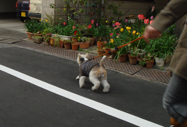 b0091373_01079.jpg
