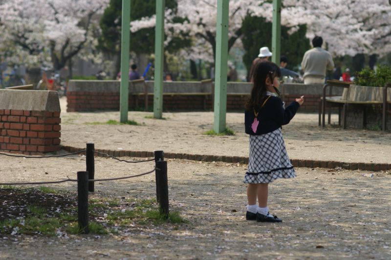 桜舞い散る公園で　ーおもいおもいに花を楽しむー_d0079278_2243376.jpg