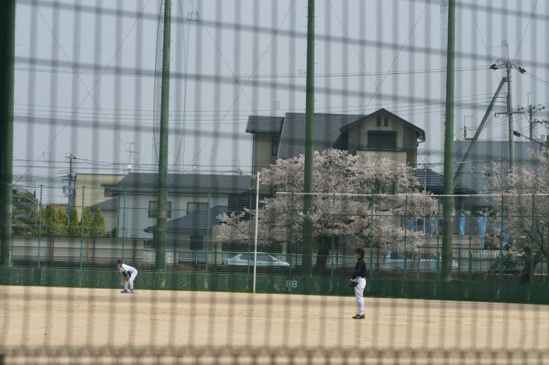 桜舞い散る公園で　ーおもいおもいに花を楽しむー_d0079278_2295616.jpg