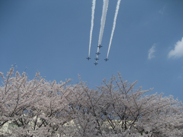 b0032079_1917336.jpg