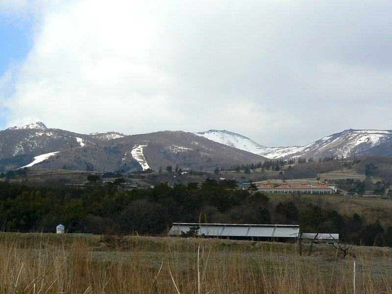 a0011690_10541623.jpg