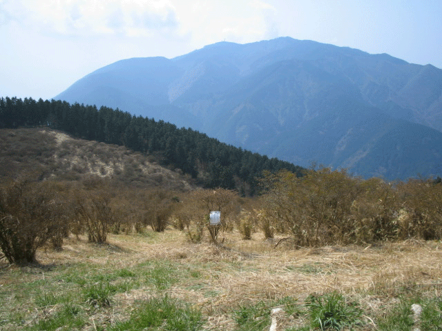 b0108100_2143229.gif