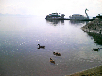 e0083204_21585352.jpg