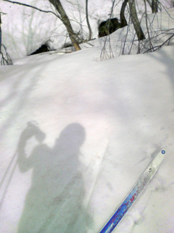 e0083204_2247921.jpg