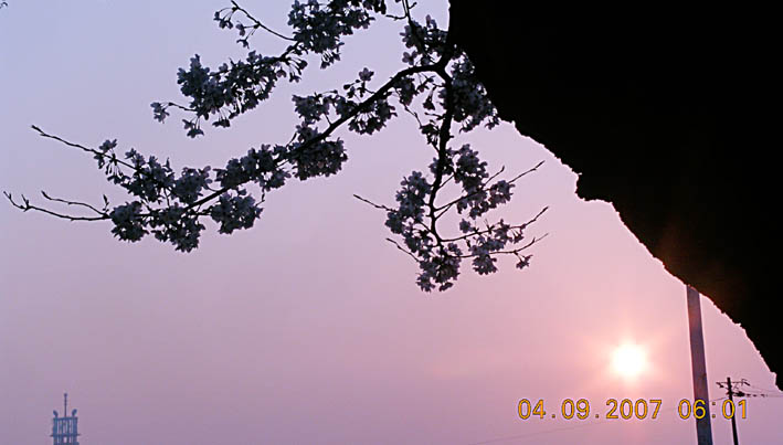 c0078410_7421816.jpg
