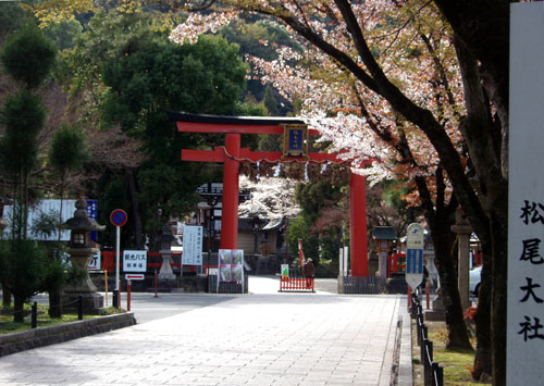 洛西逍遙 松尾大社_e0048413_2155058.jpg
