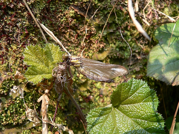 e0002314_20552586.jpg