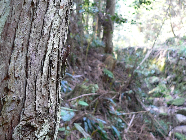 e0002314_2112021.jpg