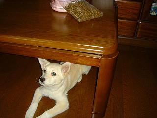 f0086814_0225077.jpg