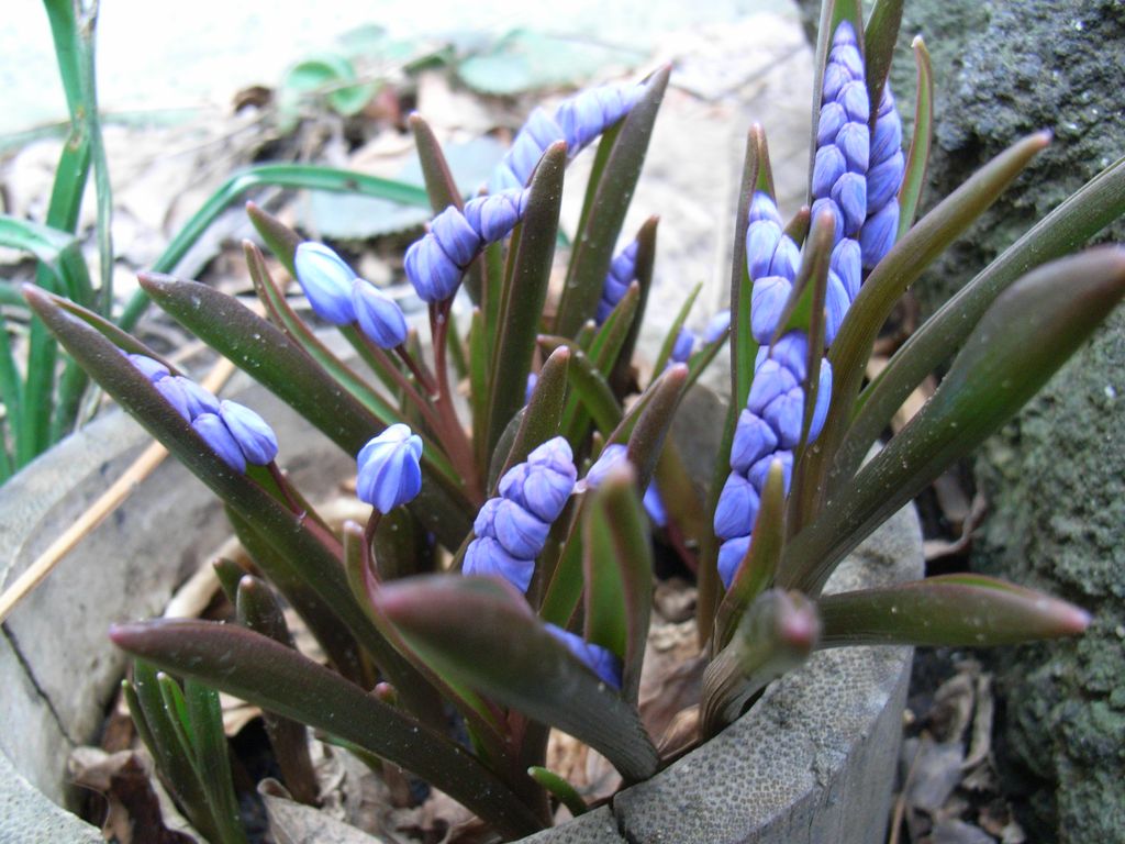 c0025115_014032.jpg
