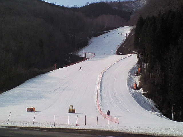 e0089227_23691.jpg