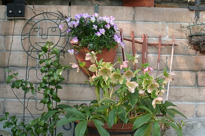 f0063729_1693764.jpg