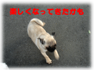 b0078030_173993.gif