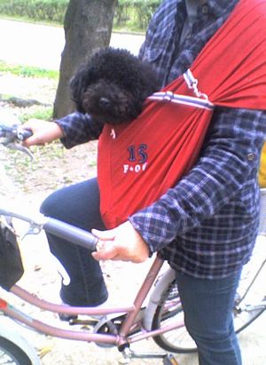 a0050838_1450125.jpg