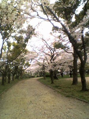 a0050838_14525593.jpg