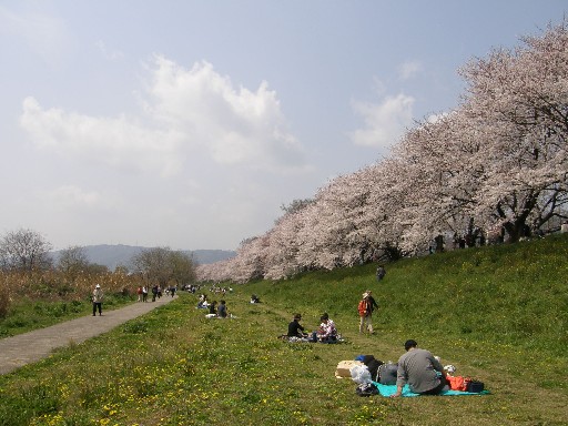 花見の続きです_f0128542_142292.jpg