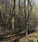 f0063944_1385122.gif
