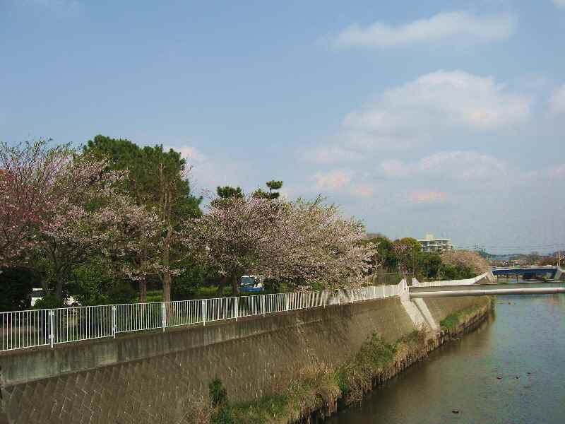 【「三月うさぎ」のフルーツパフェ】_b0009849_15531658.jpg