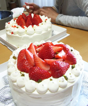 いちごのケーキ_b0016049_0184369.jpg
