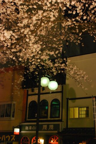 日立の夜桜②_f0089349_22364195.jpg