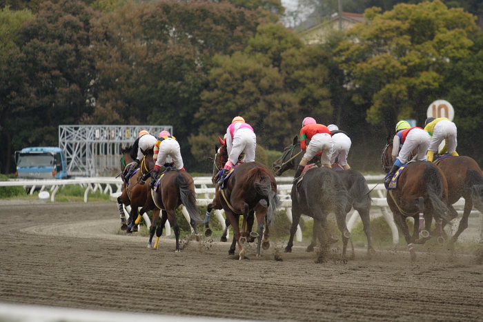 2007年4月8日（日） 高知競馬 10R 二十四万石賞 前半_a0077663_1755226.jpg