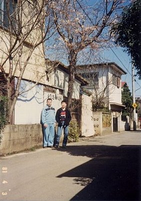 小平道場 桜の木_f0019563_946236.jpg