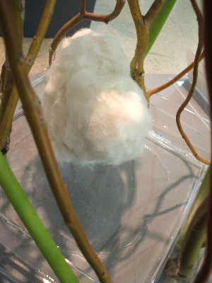 e0086864_2235317.jpg