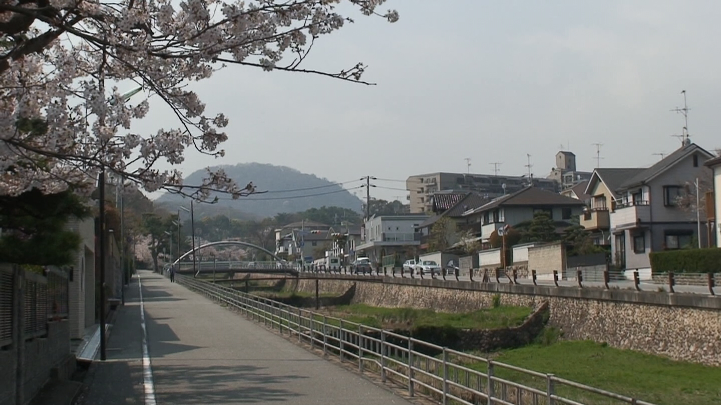 仁川・逆瀬川・武庫川・(庭先小旅行-宝塚市)　\'07年４月８日_d0083265_065599.jpg