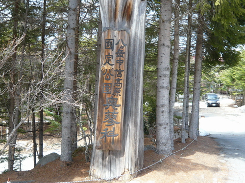 c0084268_8152520.jpg