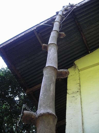 f0062870_07344.jpg
