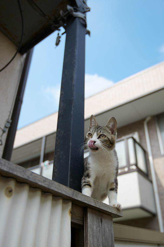 同じ時間一緒の空間_f0011273_1559266.jpg