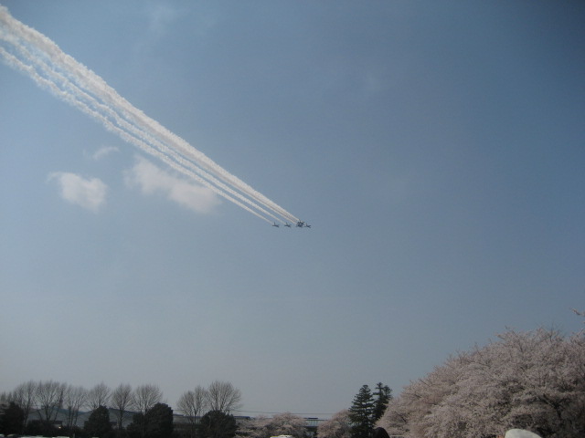 b0032079_19262645.jpg