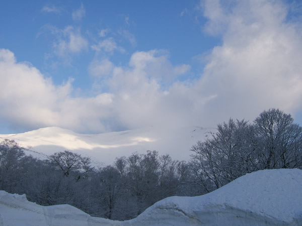 d0079579_18144066.jpg