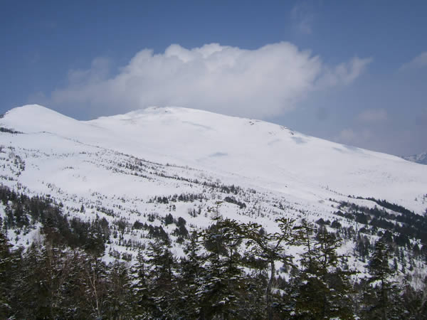 d0079579_1816258.jpg