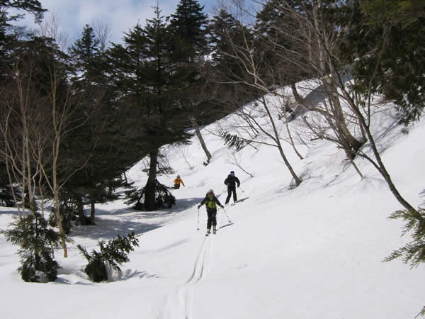 d0079579_181909.jpg