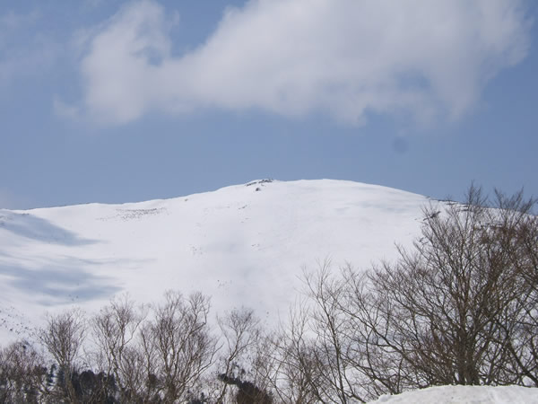 d0079579_18202625.jpg