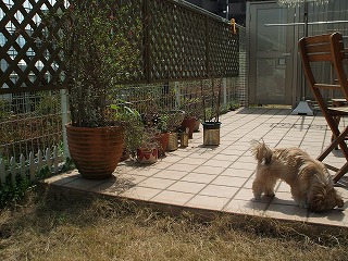 c0092983_15415940.jpg