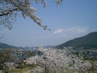 城下町_c0048891_1021533.jpg