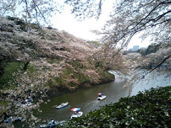 b0059000_11492716.jpg