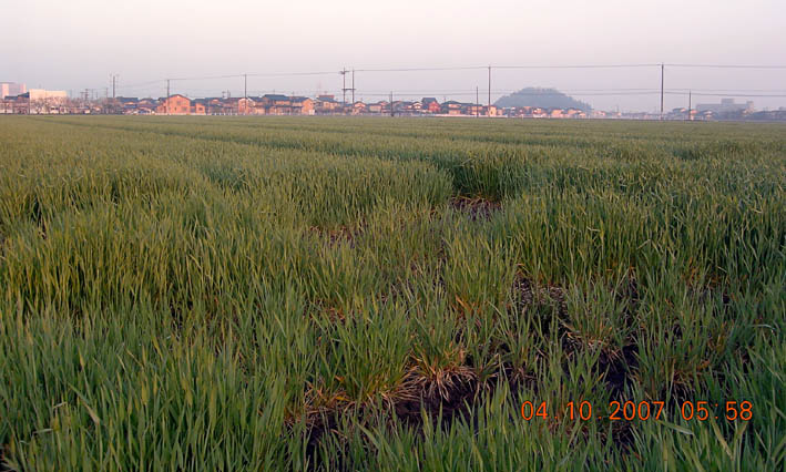 c0078410_7225913.jpg