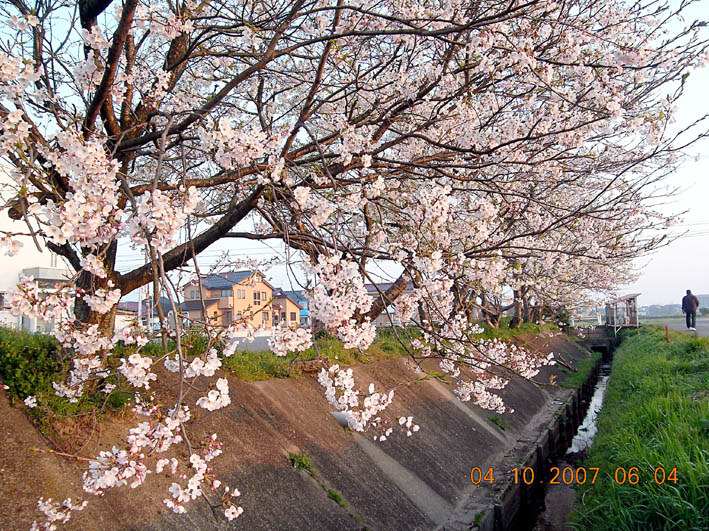 c0078410_723403.jpg