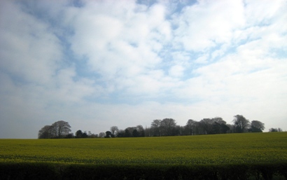 b0083417_23374059.jpg