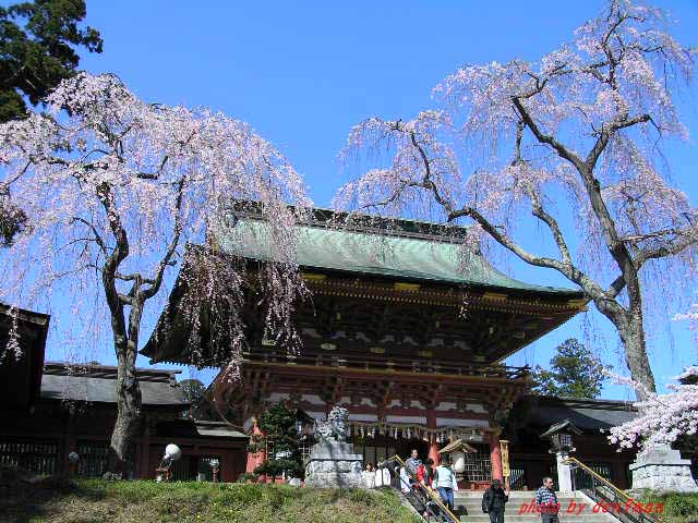 夜桜紀行（塩竈神社）_c0005717_9252622.jpg