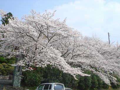 b0110035_048015.jpg
