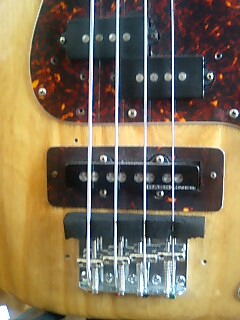f0020837_10584429.jpg