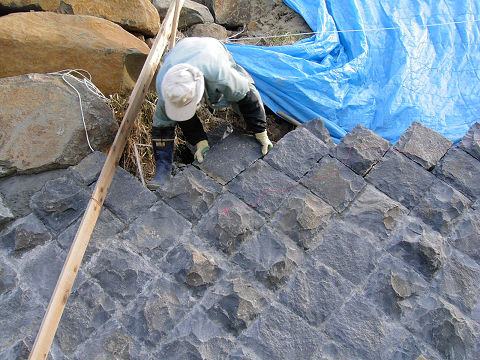 c0021441_1649916.jpg