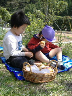 手軽なお花見_f0082141_2221867.jpg