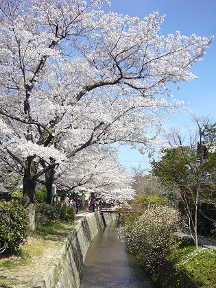 陽春の京・桜めぐり～vol.3 南禅寺・哲学の道_c0057946_1435119.jpg