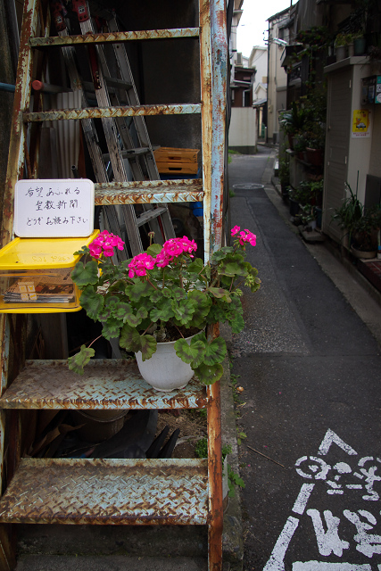 北区滝野川　　『 北部戦線 』 を往く_c0080357_2155186.jpg