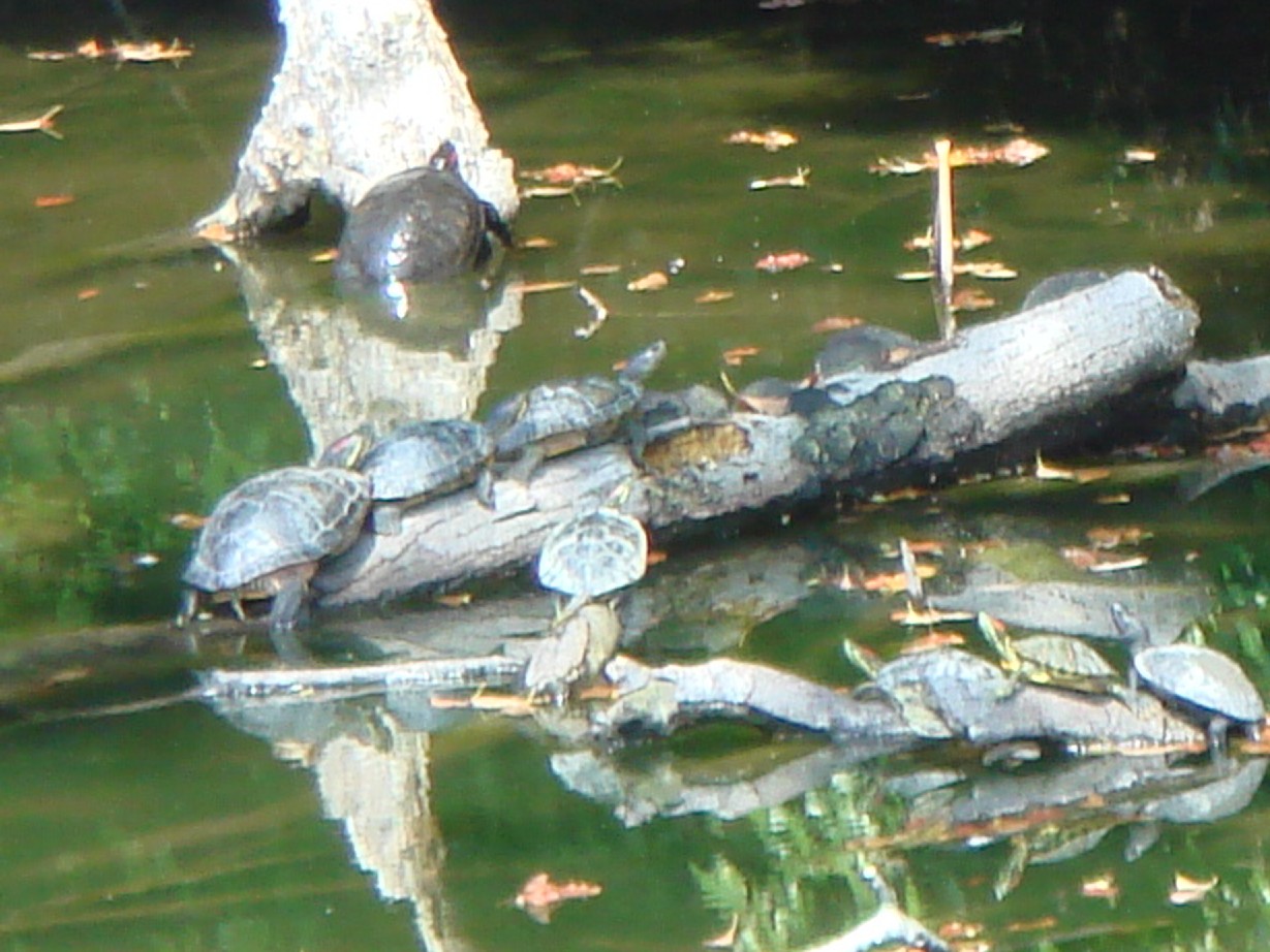 c0108460_16512962.jpg